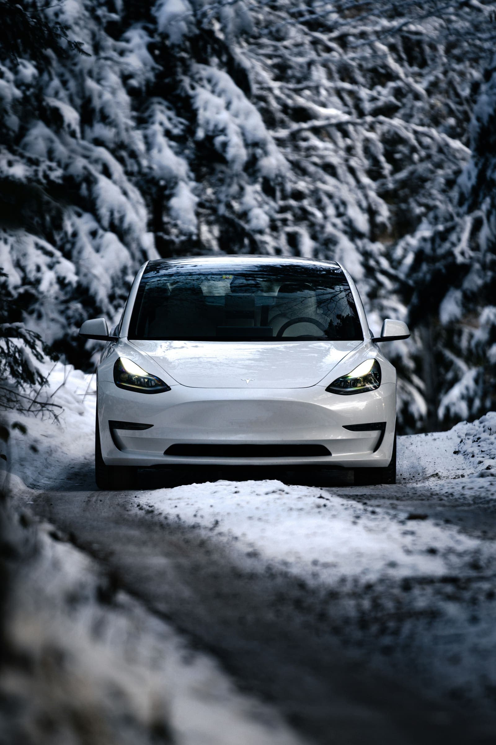 EV in besneeuwd winterlandschap